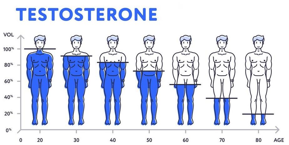 Тест на недостаток тестостерона у мужчин